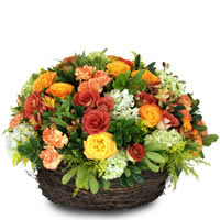 Canasta Campirana - Regalar Rosas, Regalar tulipanes, regalar flores,regalar arreglos florales, regalar regalos
